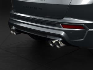 Cupra Ateca 2020 года  (WW)